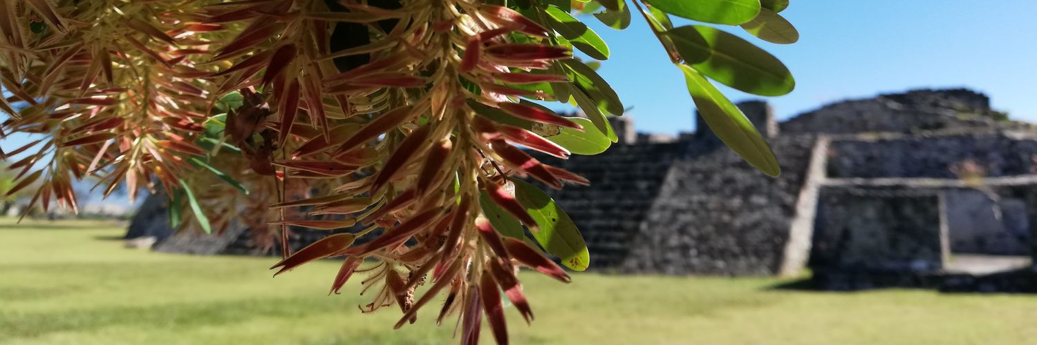 gpejacobi's profile banner image