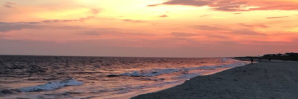 nickbadgett3 Profile Banner