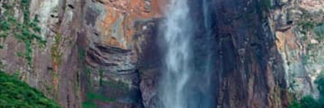 Jose Platinum banner