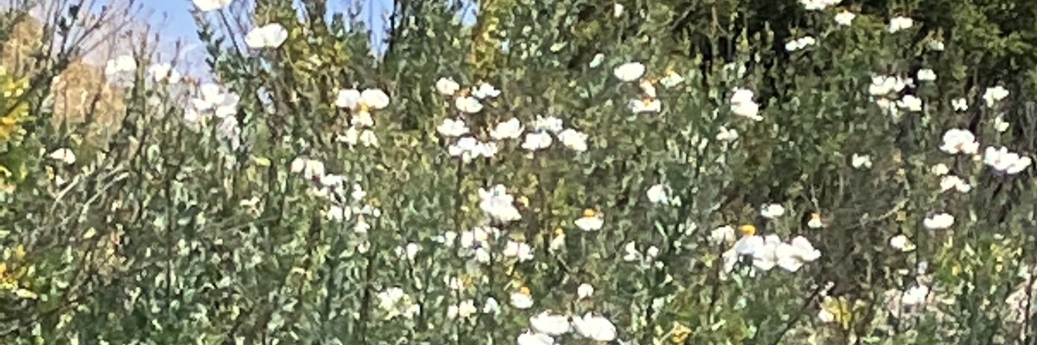 ECoUrbanGardens banner