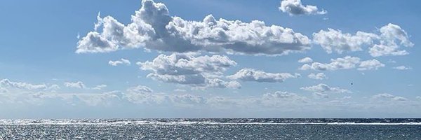 Raneen Profile Banner