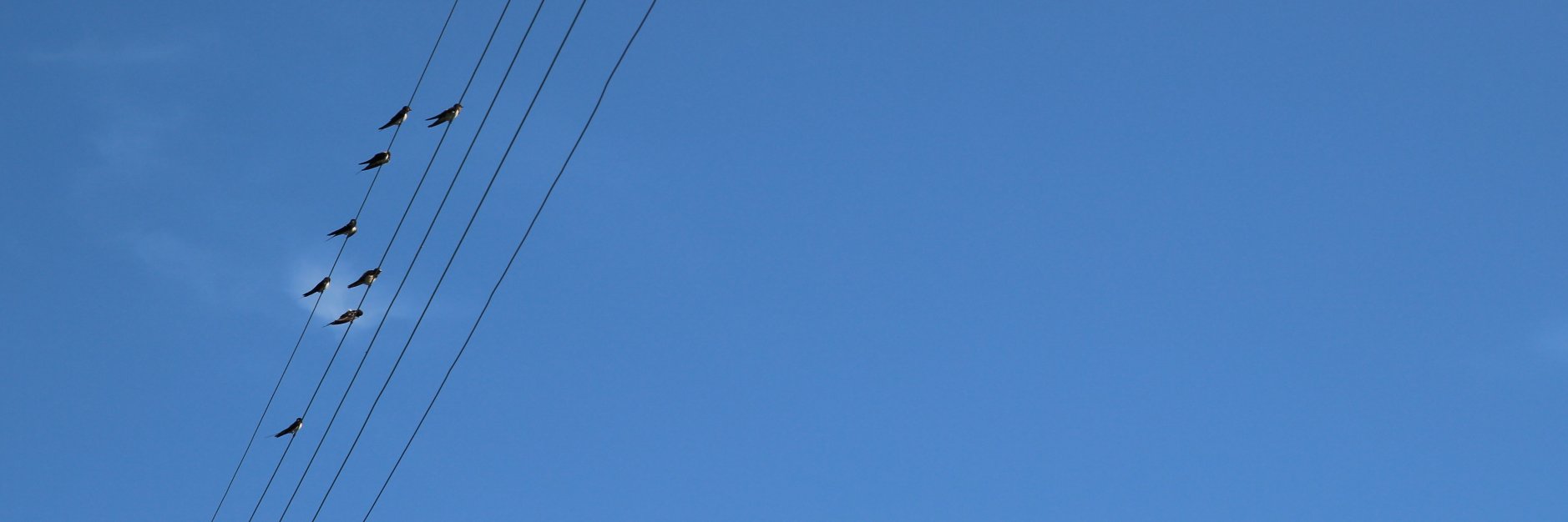 OgetLo's profile banner image