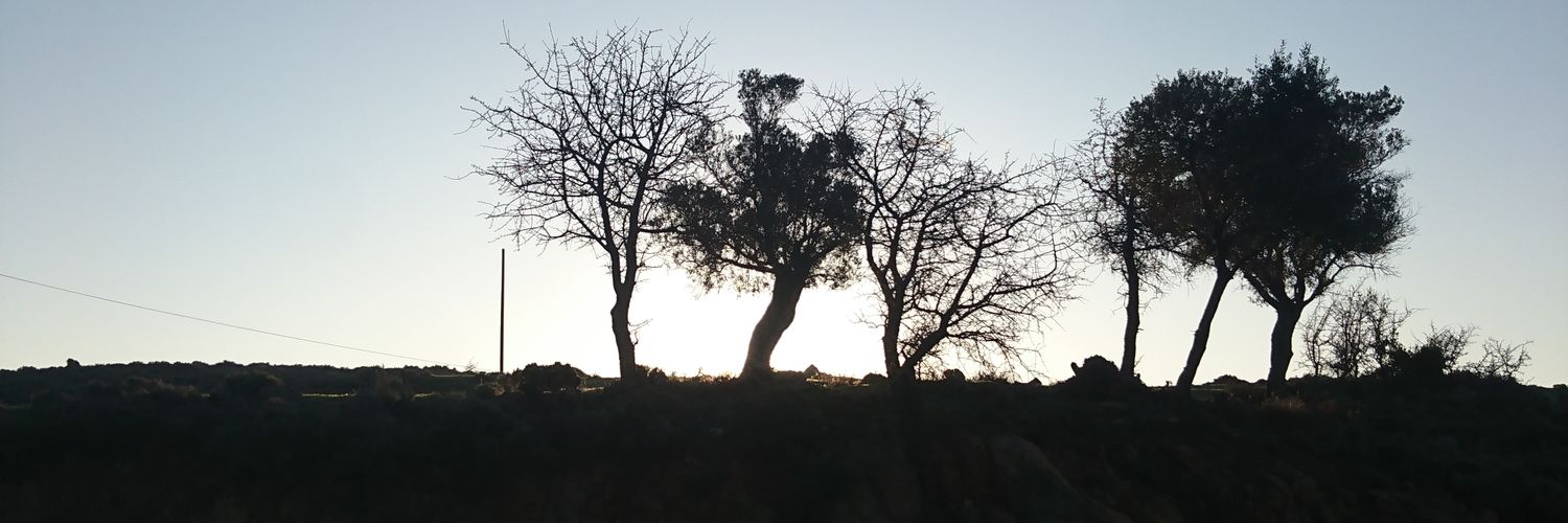 cangoksay's profile banner image