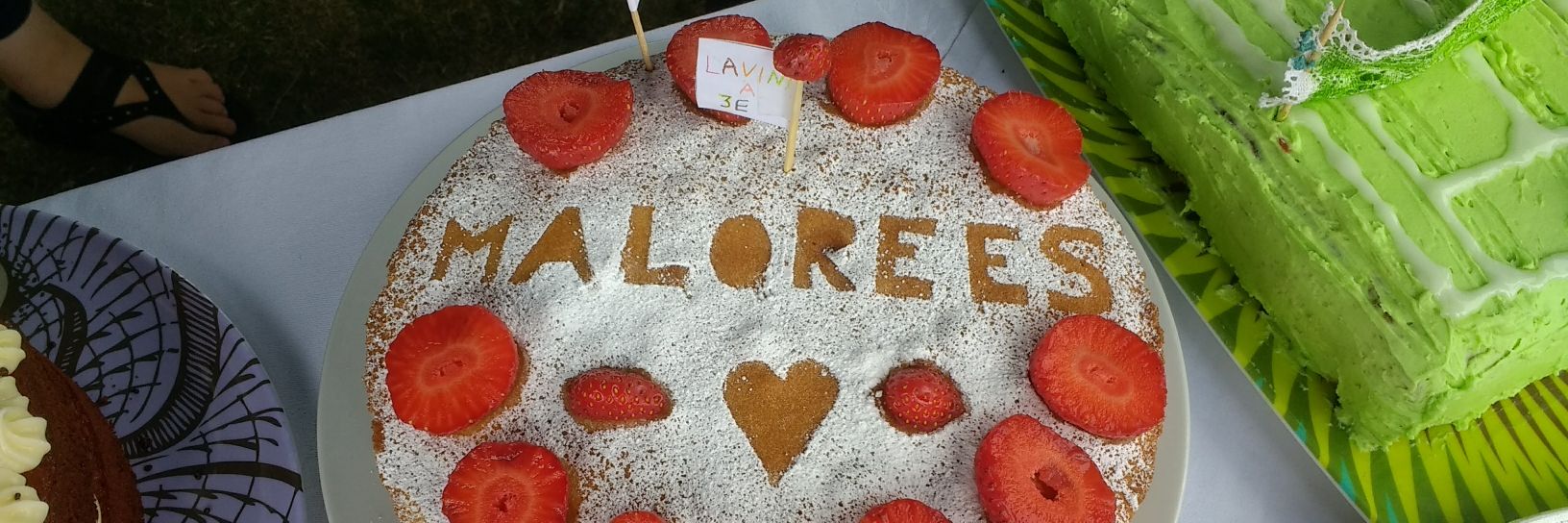 Friends of Malorees banner