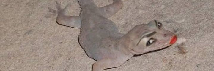Pablinho banner