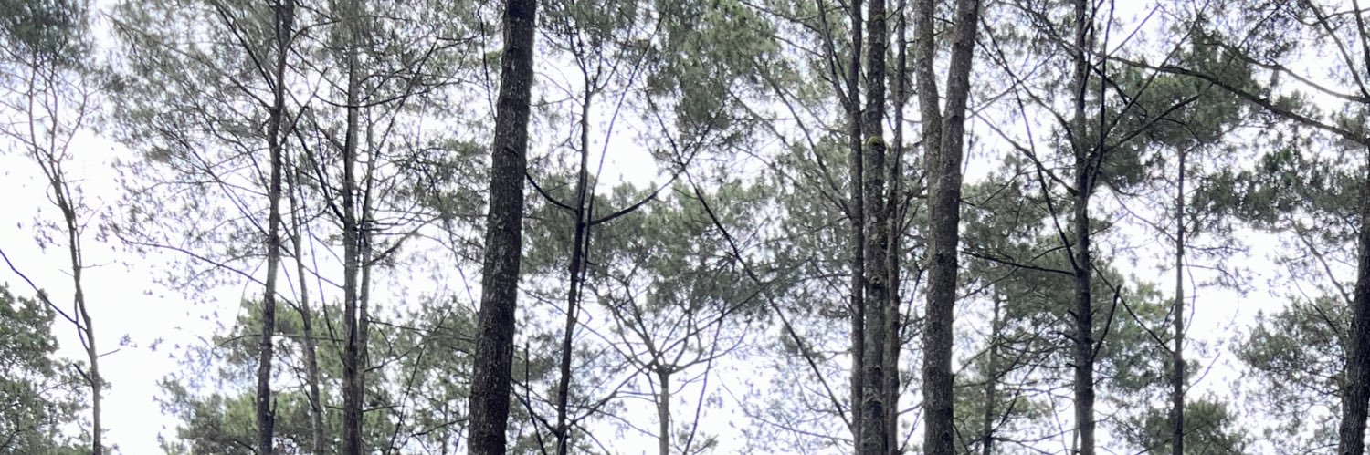 Via97's profile banner image