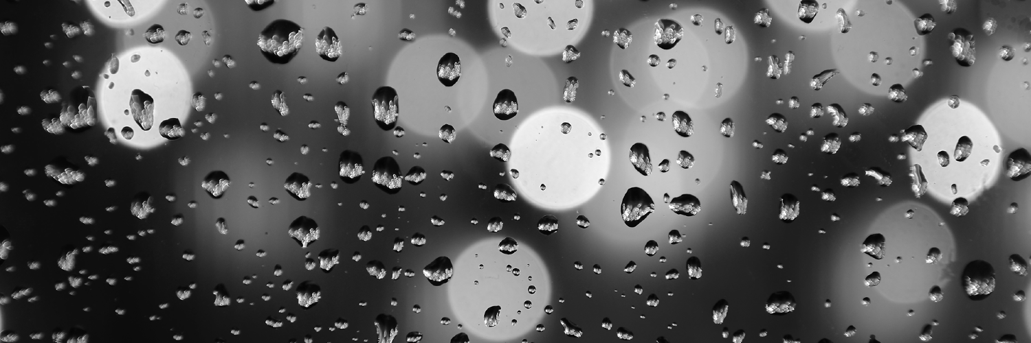 Marsha Bradfield banner