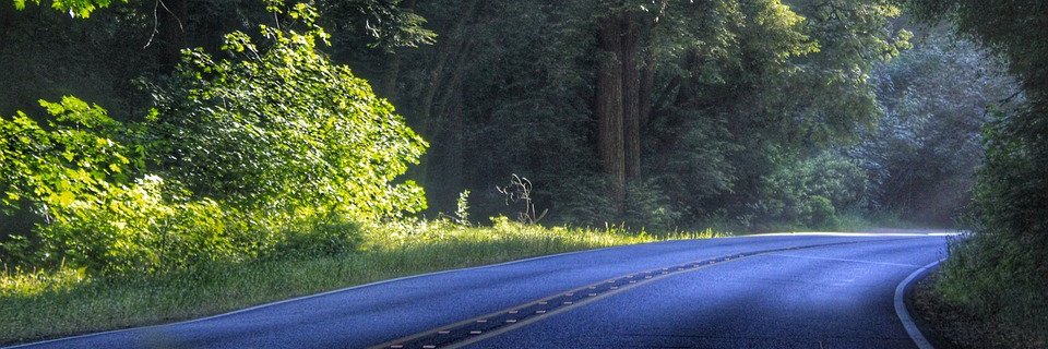 cosurviving's profile banner image