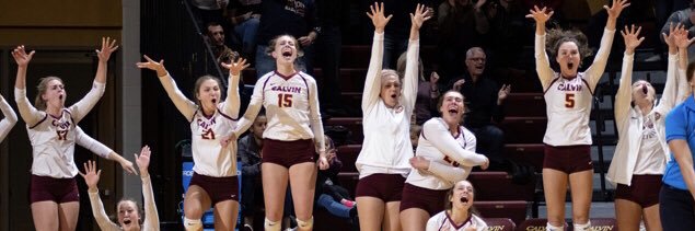 Calvin University Vball banner