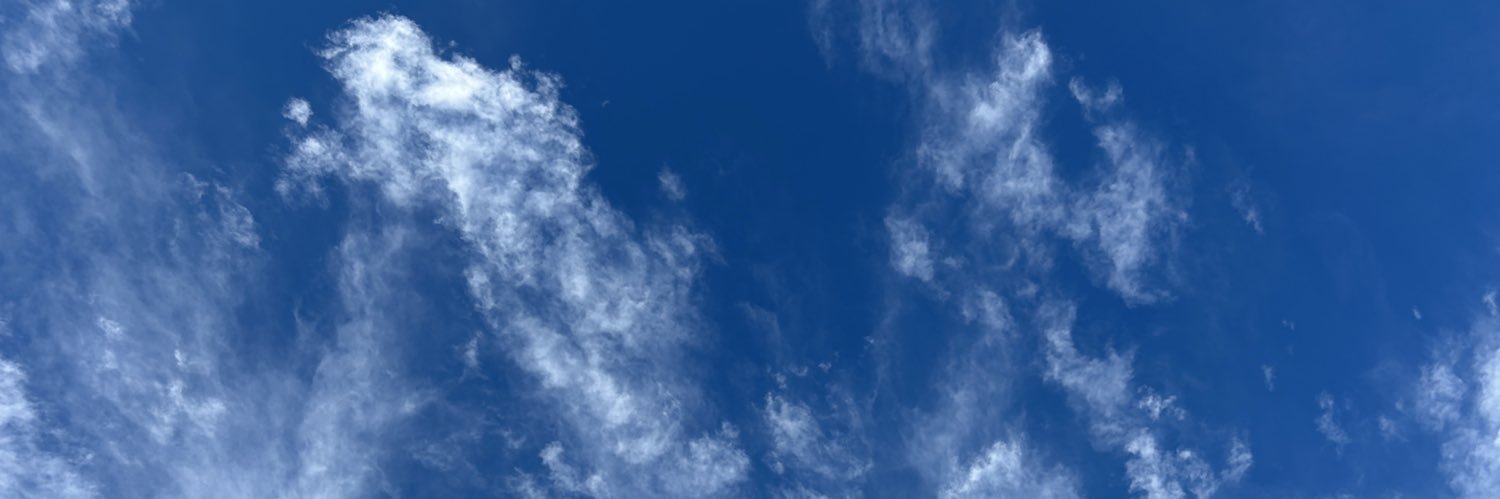 Alex Ortiz banner