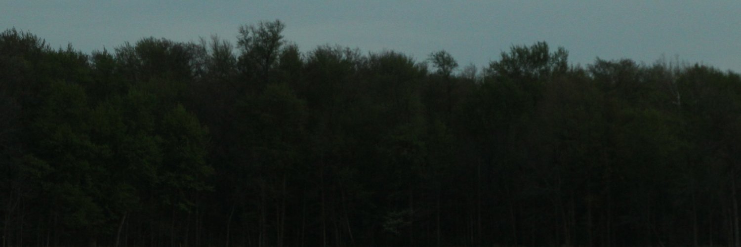 expathmia NEW SINGLE OUT NOW banner