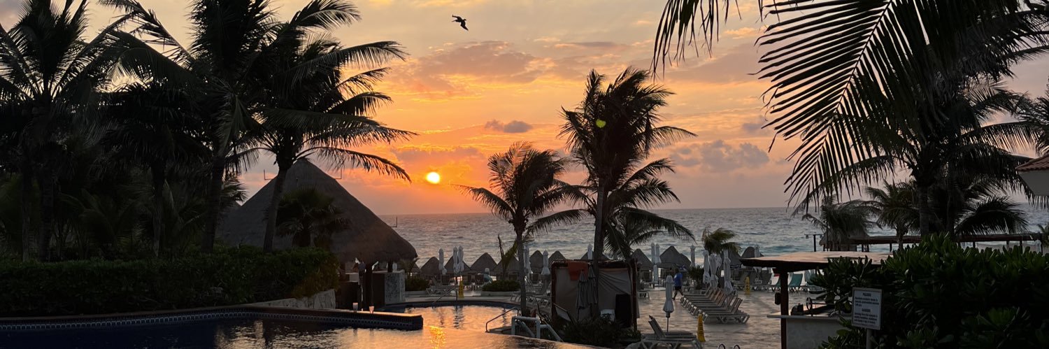 Chris Johanson banner