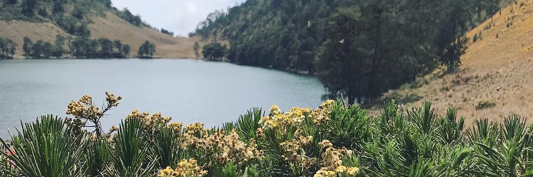 dicktutor's profile banner image