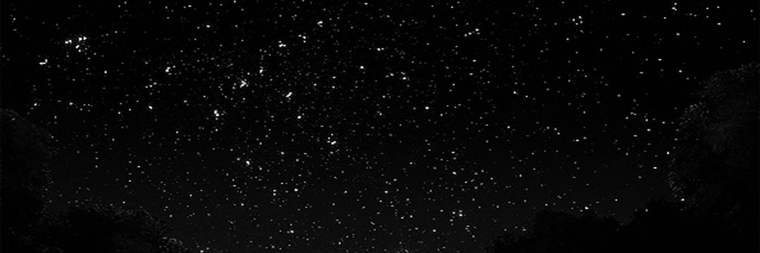 𝑯𝒂𝒓𝒍𝒆𝒆𝒏. banner