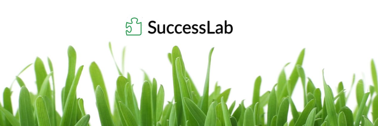 _SuccessLab_'s profile banner image
