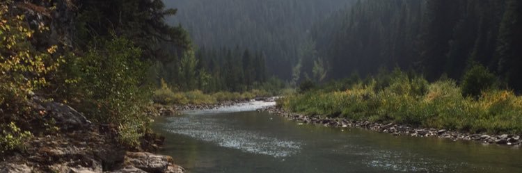 millersbrewski's profile banner image