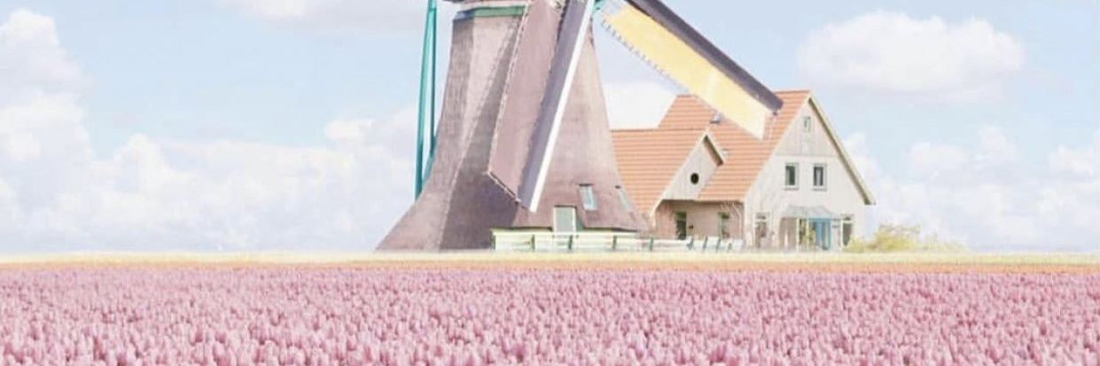 citadiploma's profile banner image