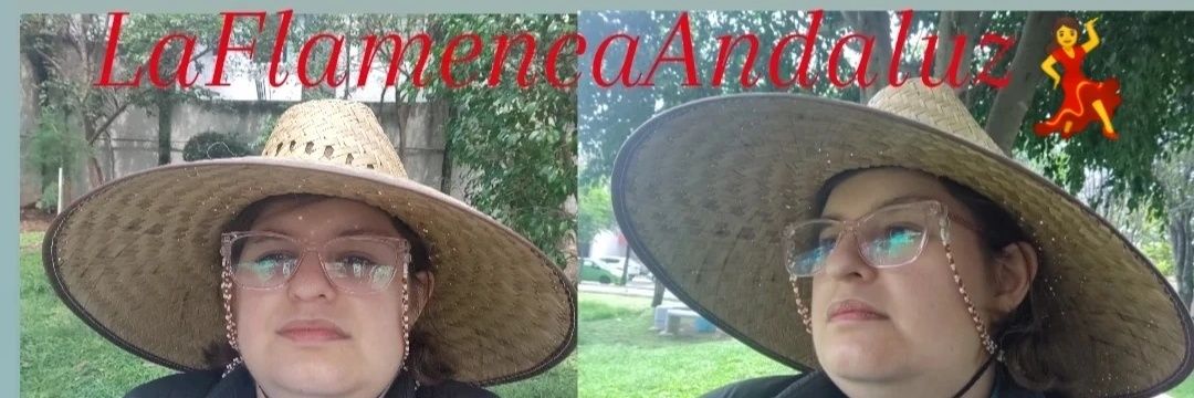 LaFlamencaAndaluz db banner