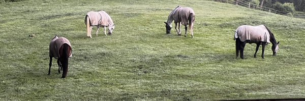 Annealiz1 Profile Banner