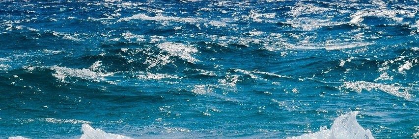 HappyChappy 🙂 banner