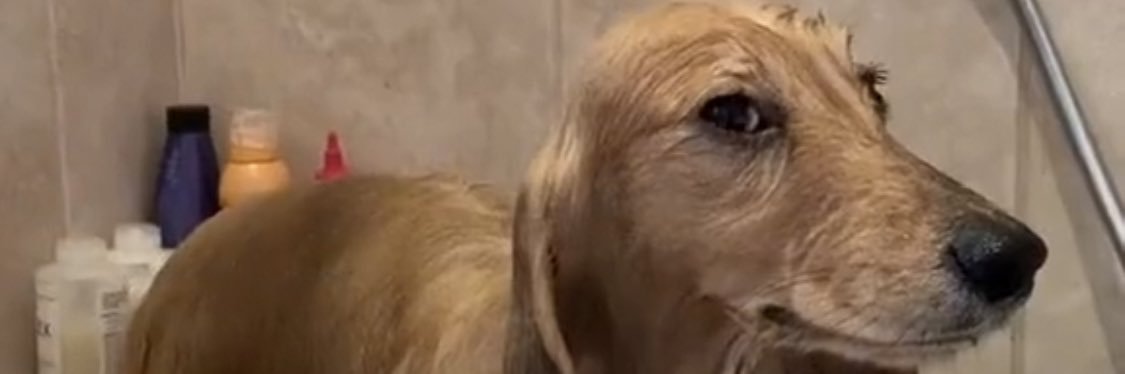 rouspix & chill banner