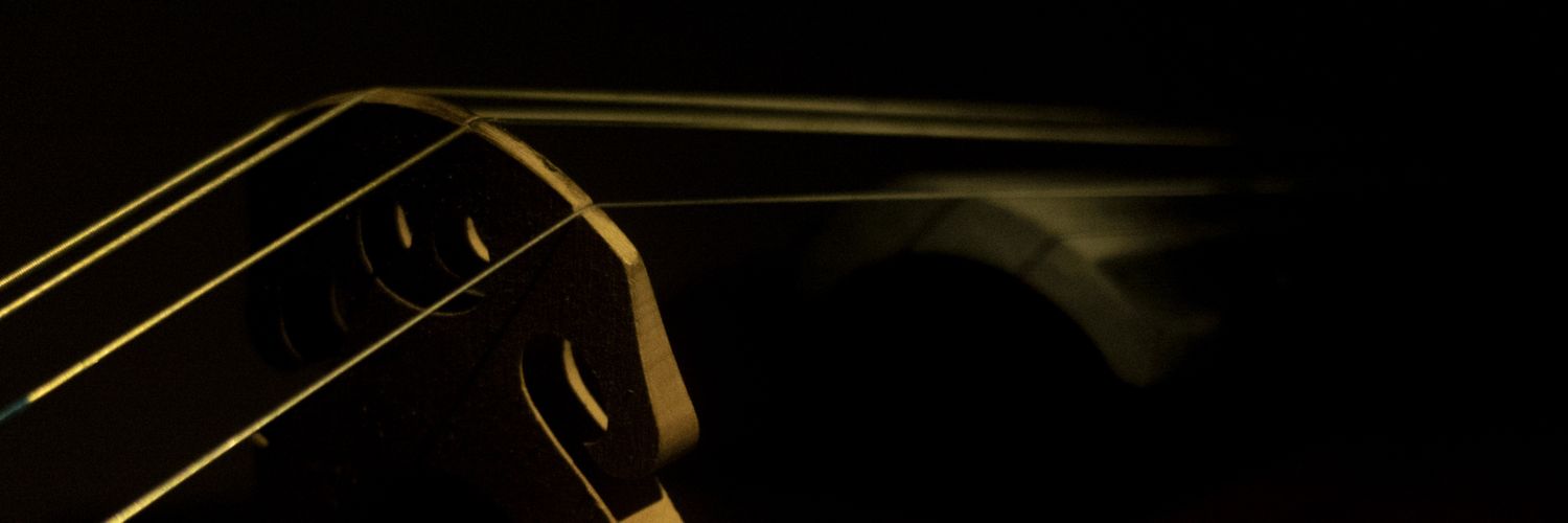LiisRcasT's profile banner image