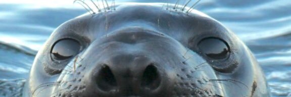 synyny's profile banner image
