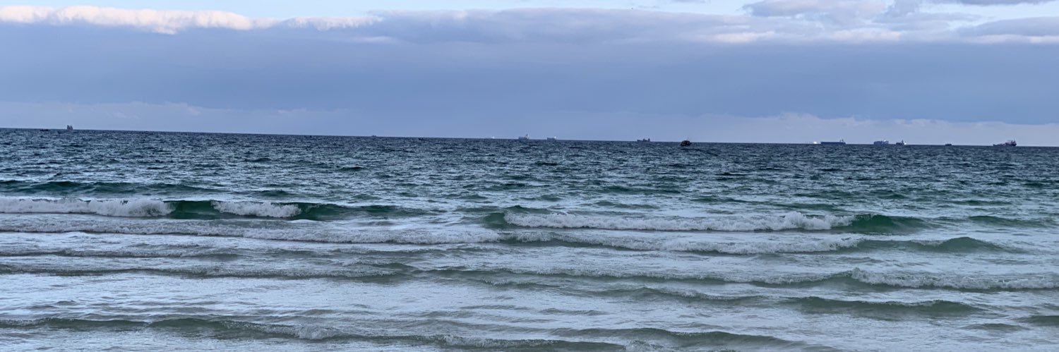 اسكندراني banner