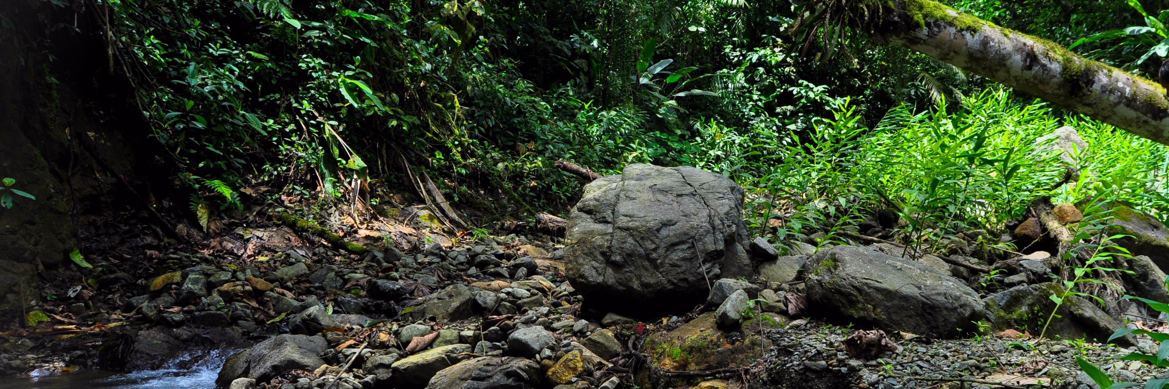 Emma Steigerwald banner