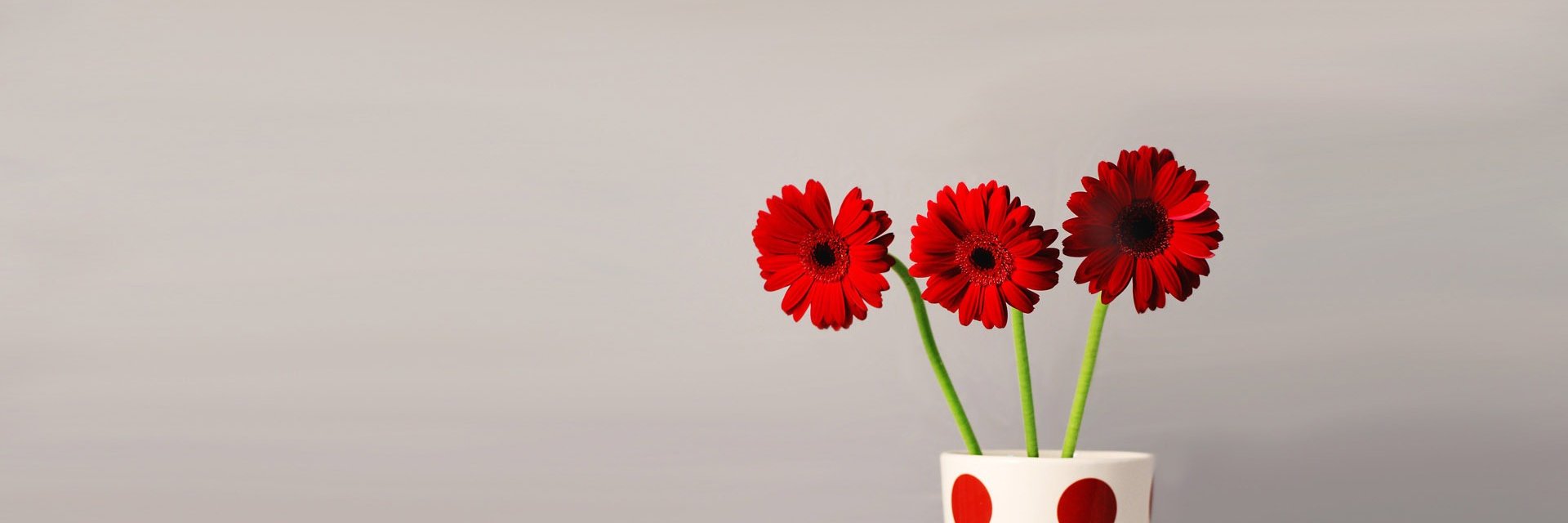 rofadaliny's profile banner image