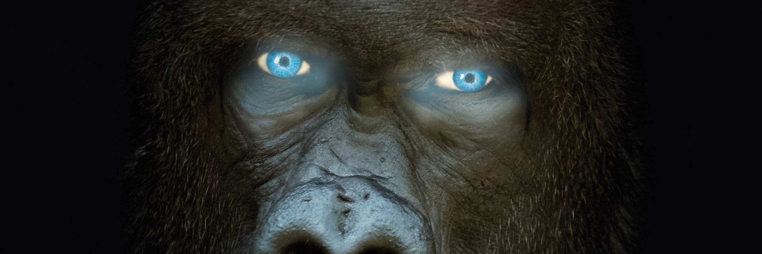 GreyMatterPress's profile banner image