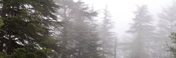 samerkabara Profile Banner