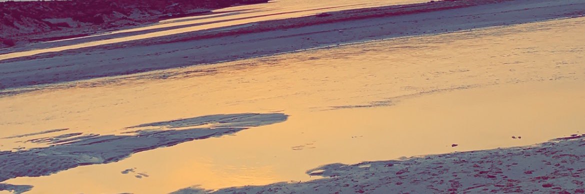 sense_se's profile banner image