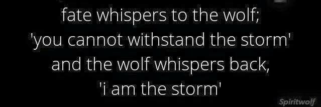 wolfe59's profile banner image