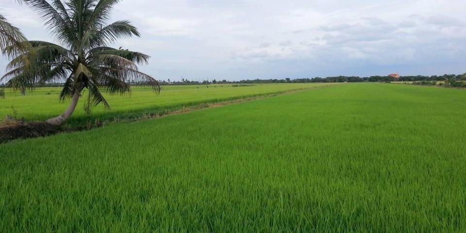 pairotahe's profile banner image