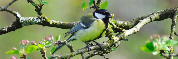 _TwitMarie_ Profile Banner
