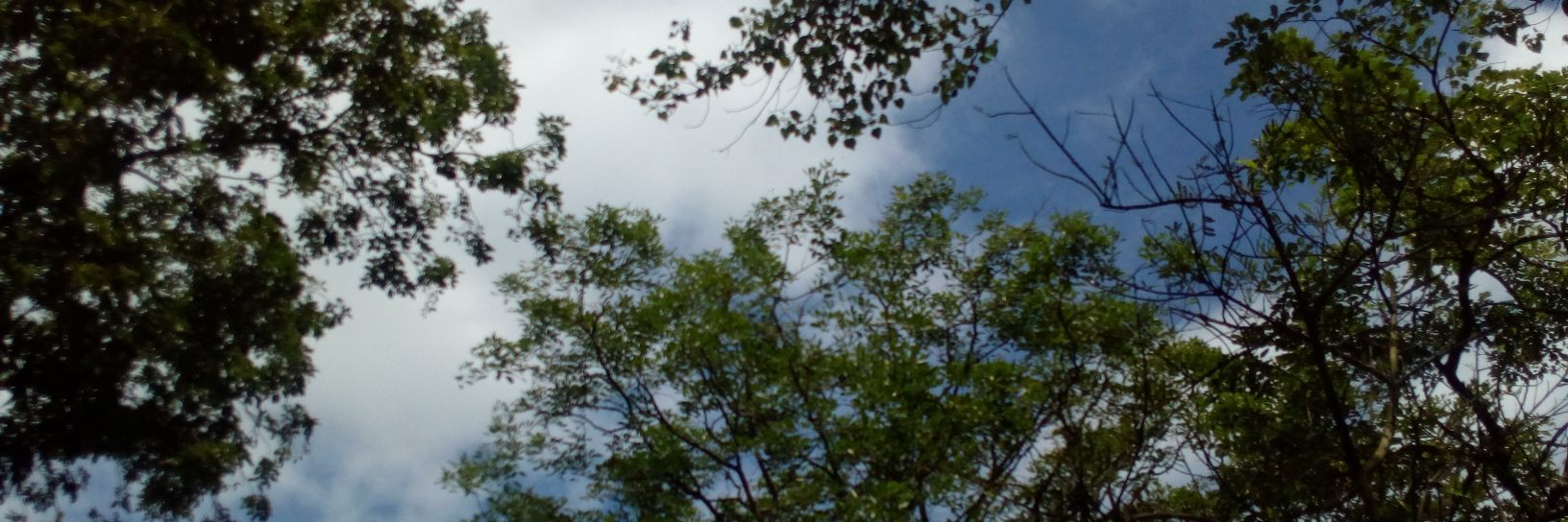 Ajay McClenhaghan banner