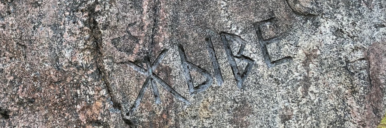 Viktoryja Palčys banner
