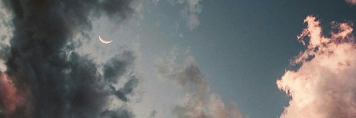 __rose_sv's profile banner image