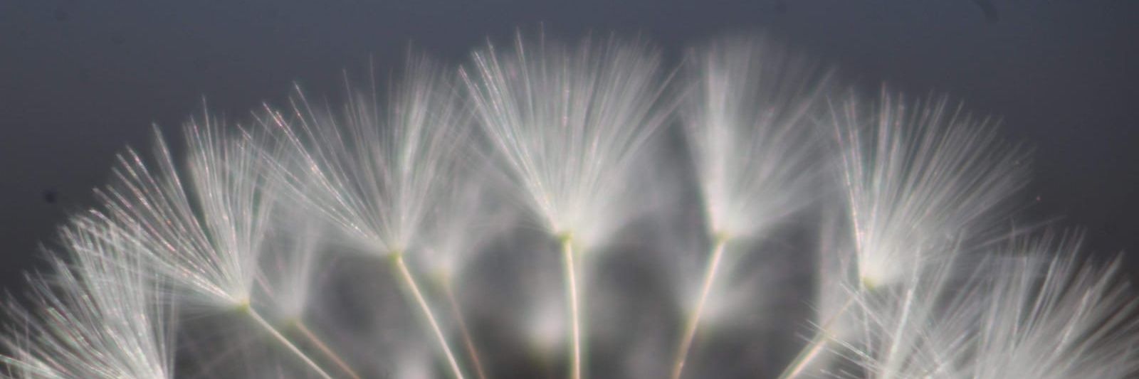 Marta_mpf's profile banner image