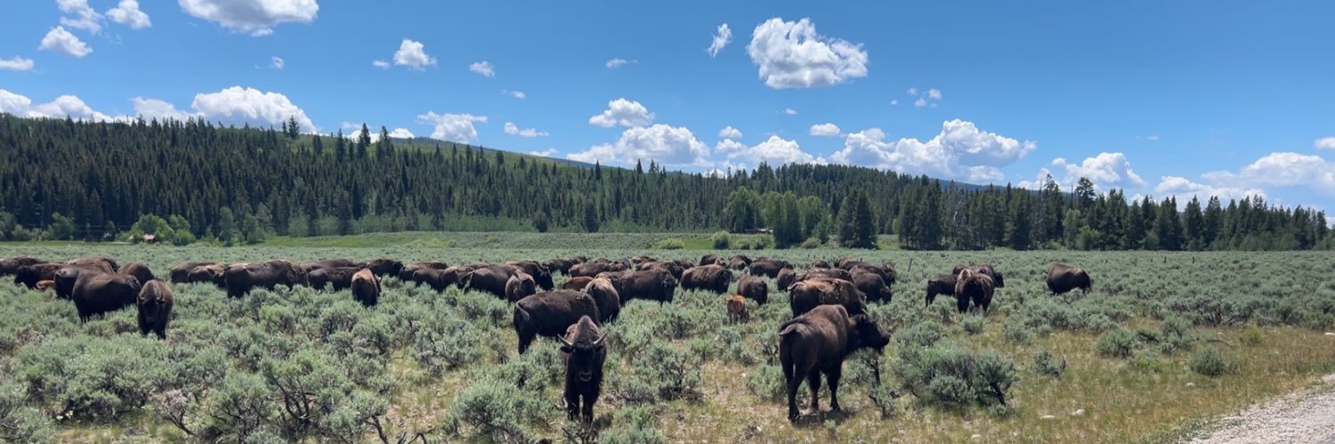 Aaron Rochelle banner