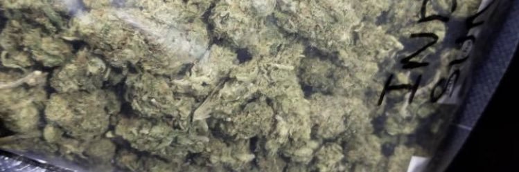 100ALCAPONE's profile banner image
