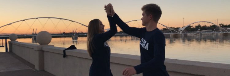 SimplyArcadia's profile banner image
