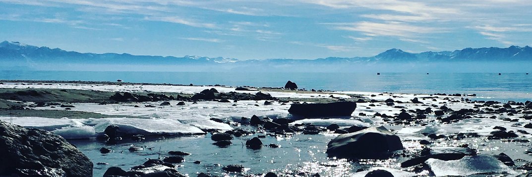 Andrea Leszek banner