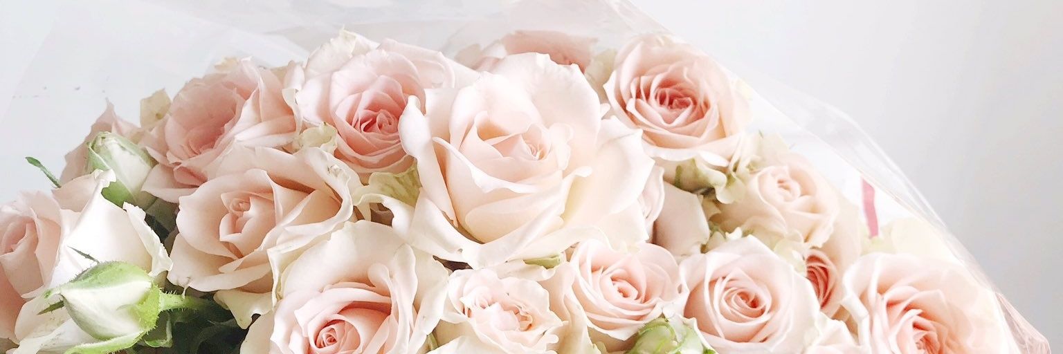 abk7782's profile banner image