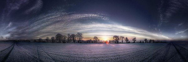 enesalgl33 Profile Banner