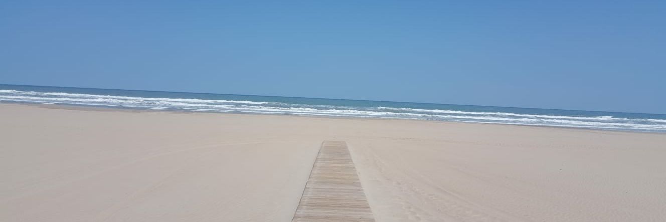 María José banner