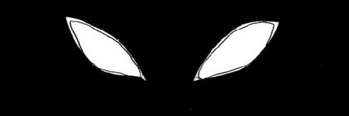 ambriorix's profile banner image