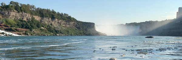 DogecoinInc Profile Banner