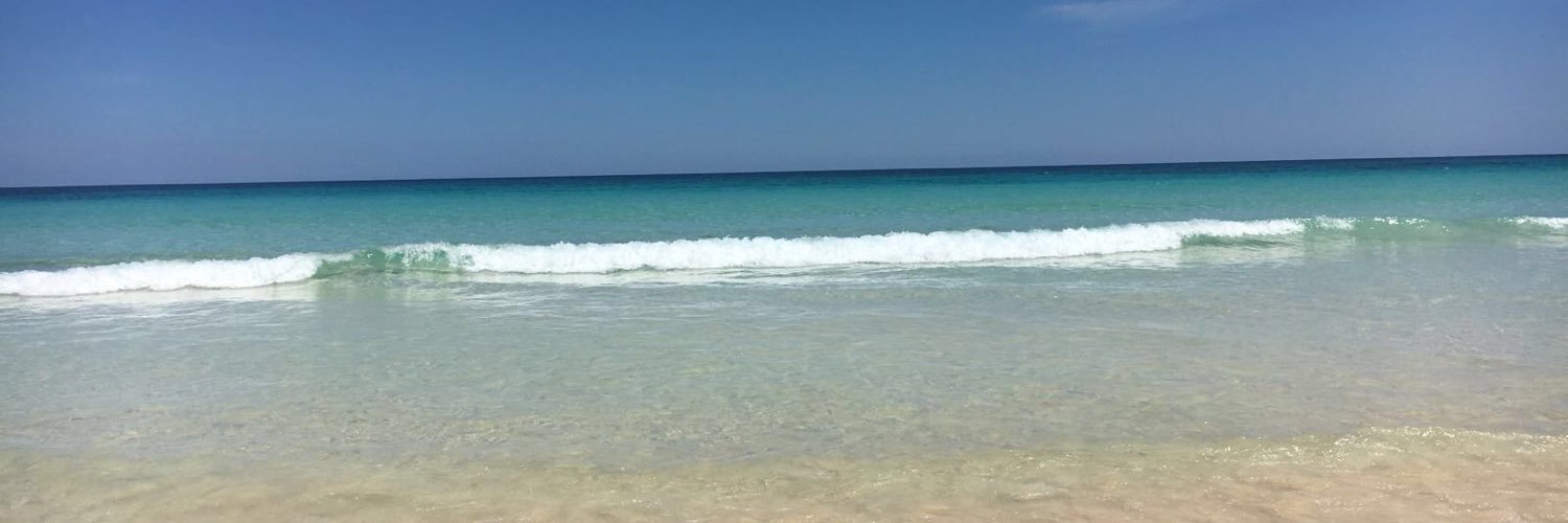 collytom's profile banner image